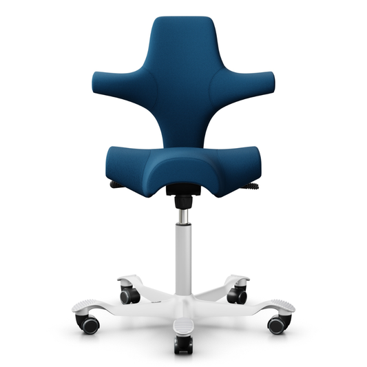Capisco Saddle Office Chair