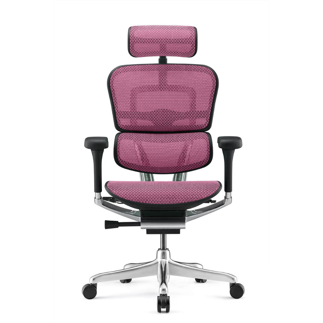 Ergohuman - Mesh Ergonomic Office Chair