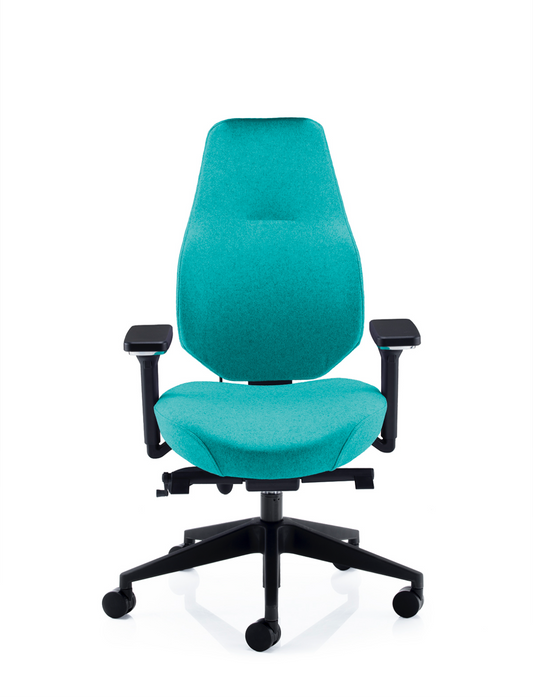 Ergodynamic Office Chair
