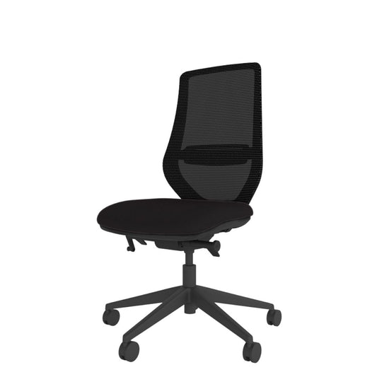 Brody Ergonomic Office Chair