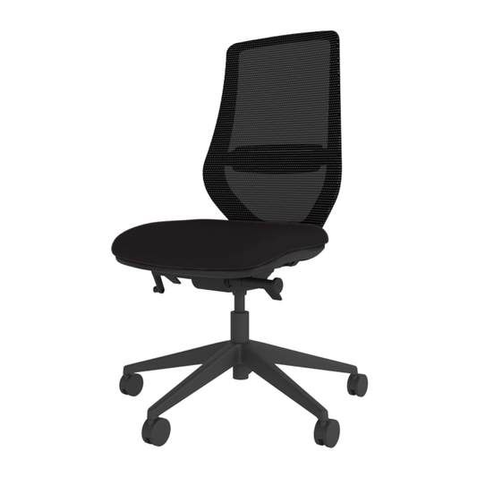 Brody Ergonomic Office Chair