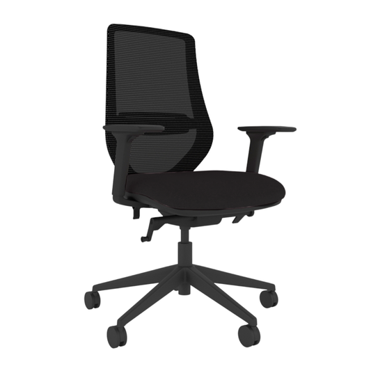 Brody Ergonomic Office Chair