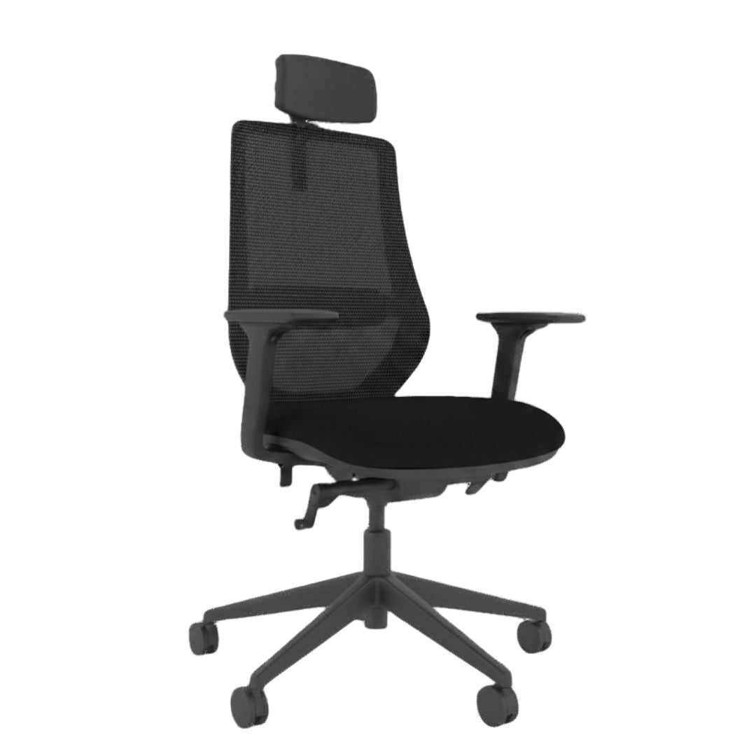 Brody Ergonomic Office Chair