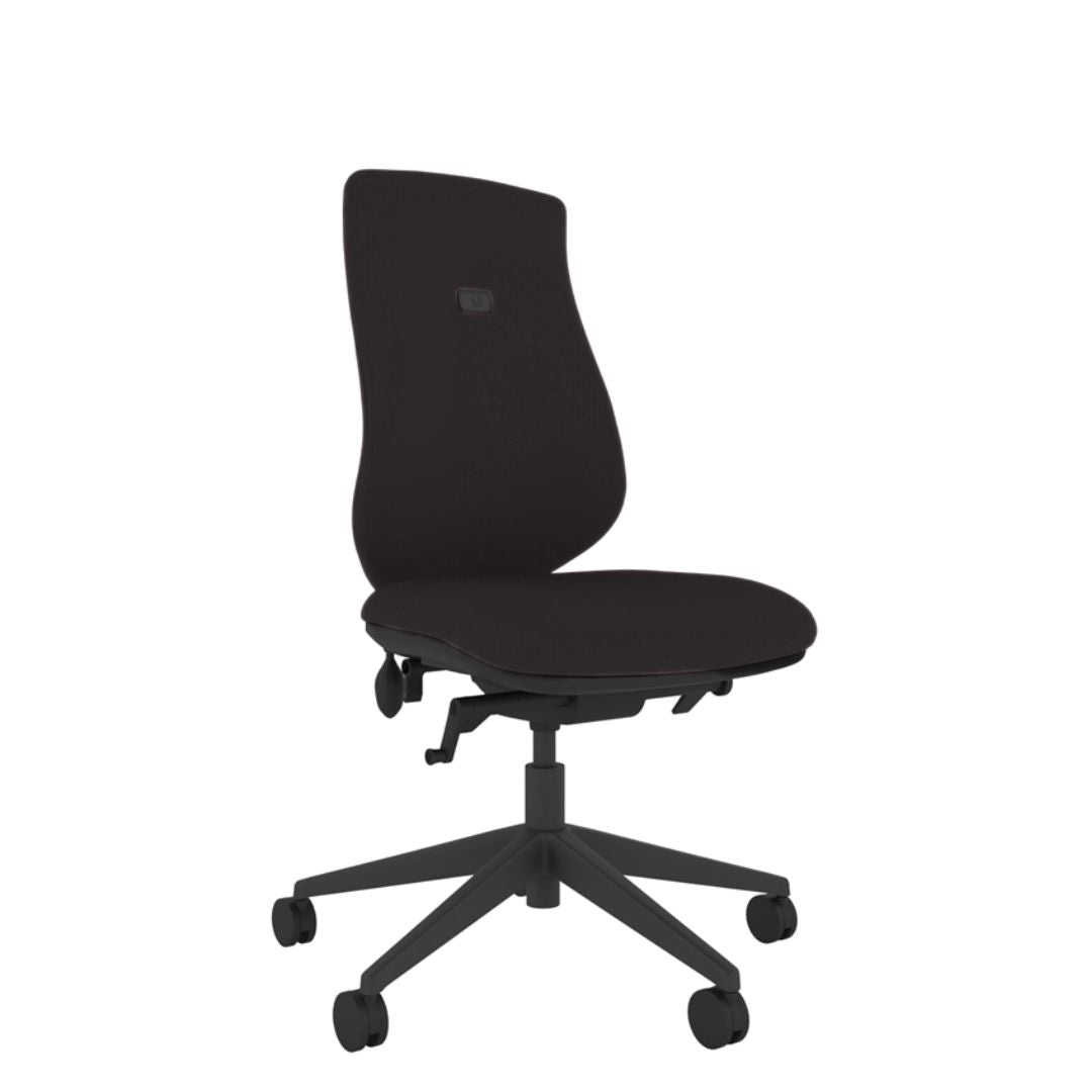 Brody Ergonomic Office Chair