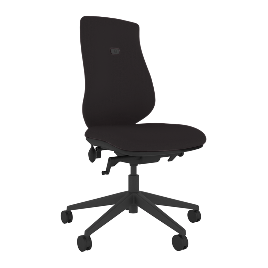 Brody Ergonomic Office Chair