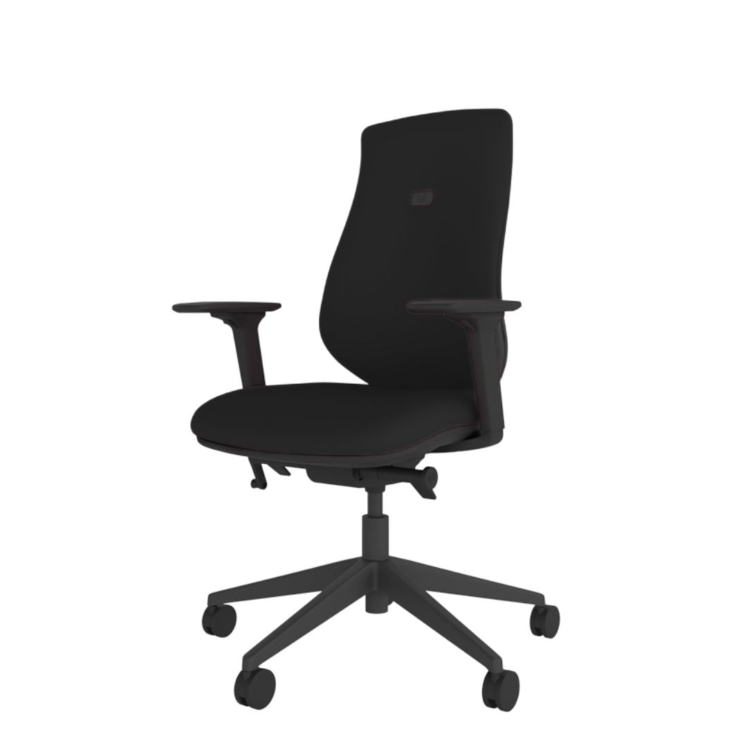 Brody Ergonomic Office Chair
