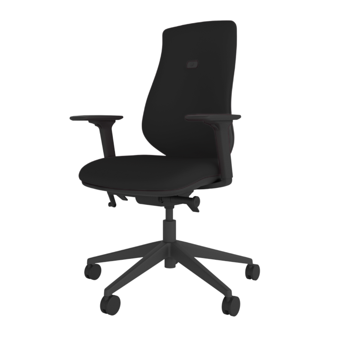 Brody Ergonomic Office Chair