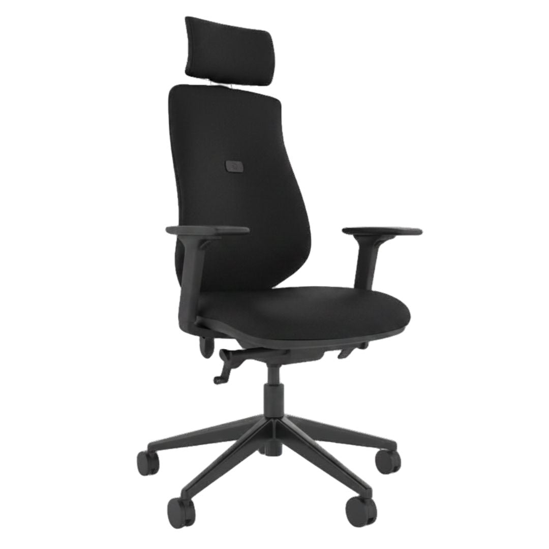 Brody Ergonomic Office Chair