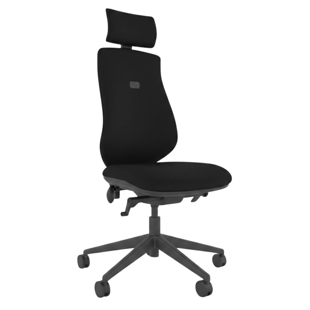Brody Ergonomic Office Chair