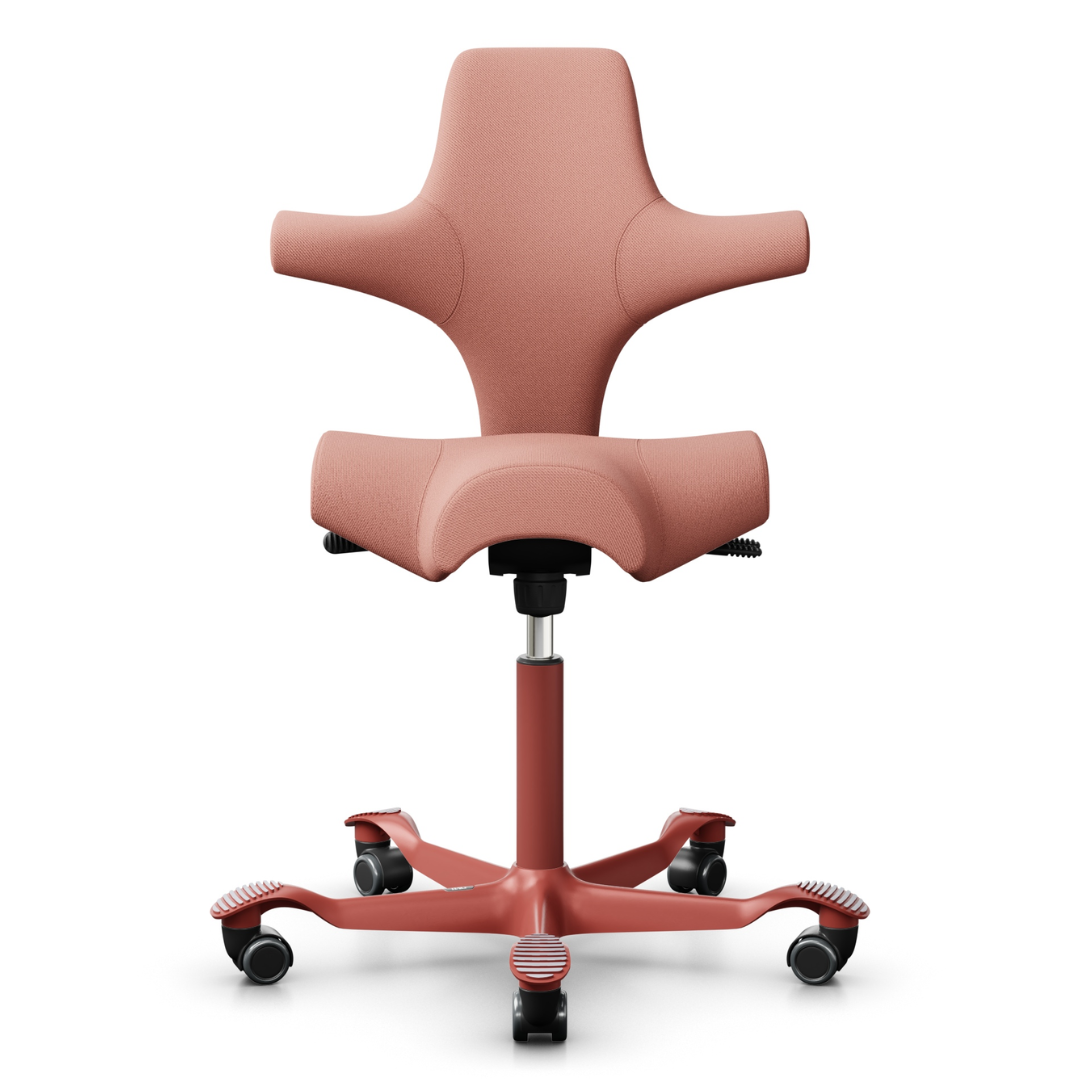 Capisco Saddle Office Chair