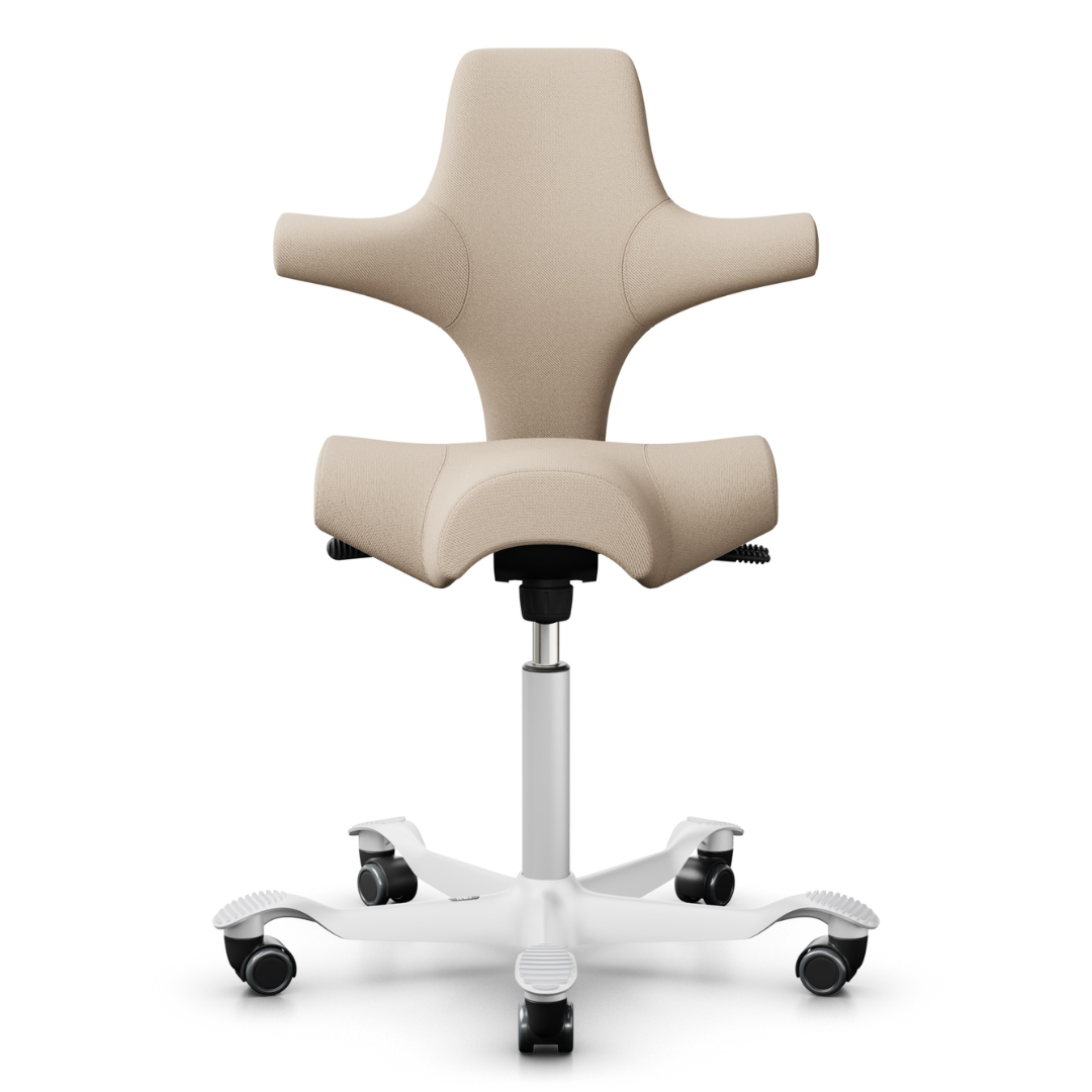 Capisco Saddle Office Chair