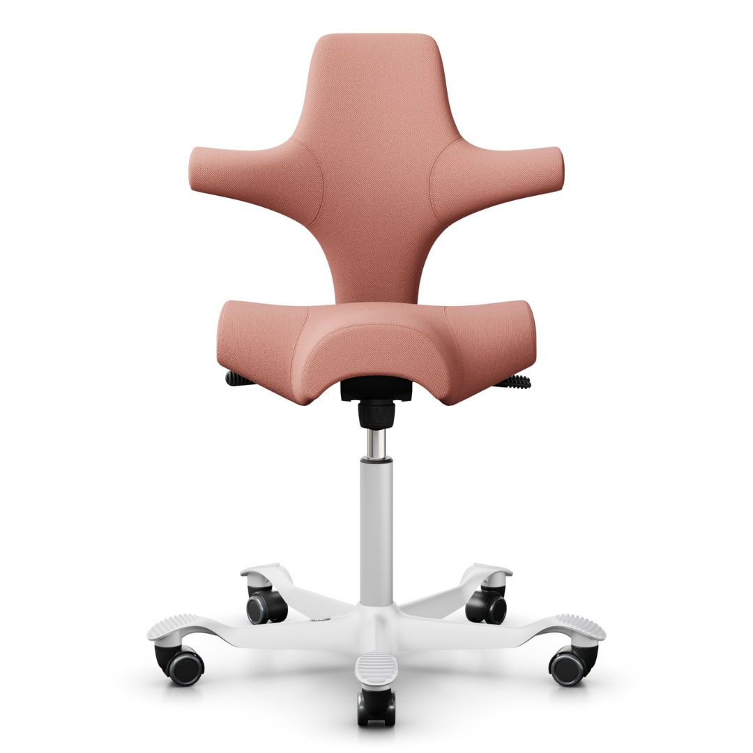 Capisco Saddle Office Chair