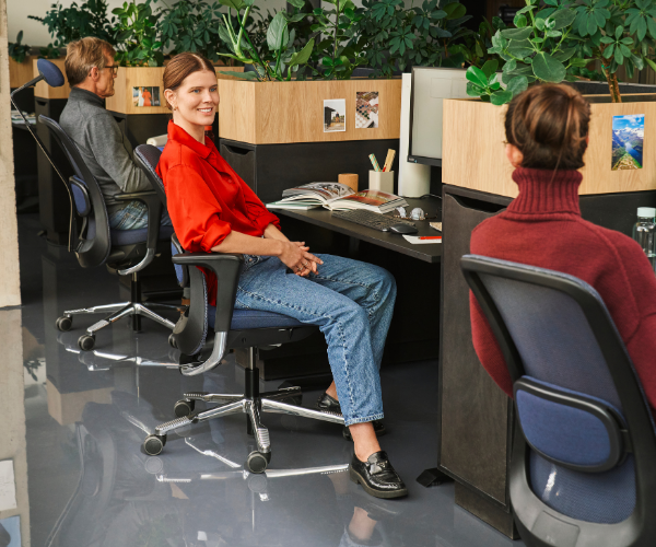 Healthy Home & Office - Office MOT - Person sitting at a desk in an office with colleagues and plants