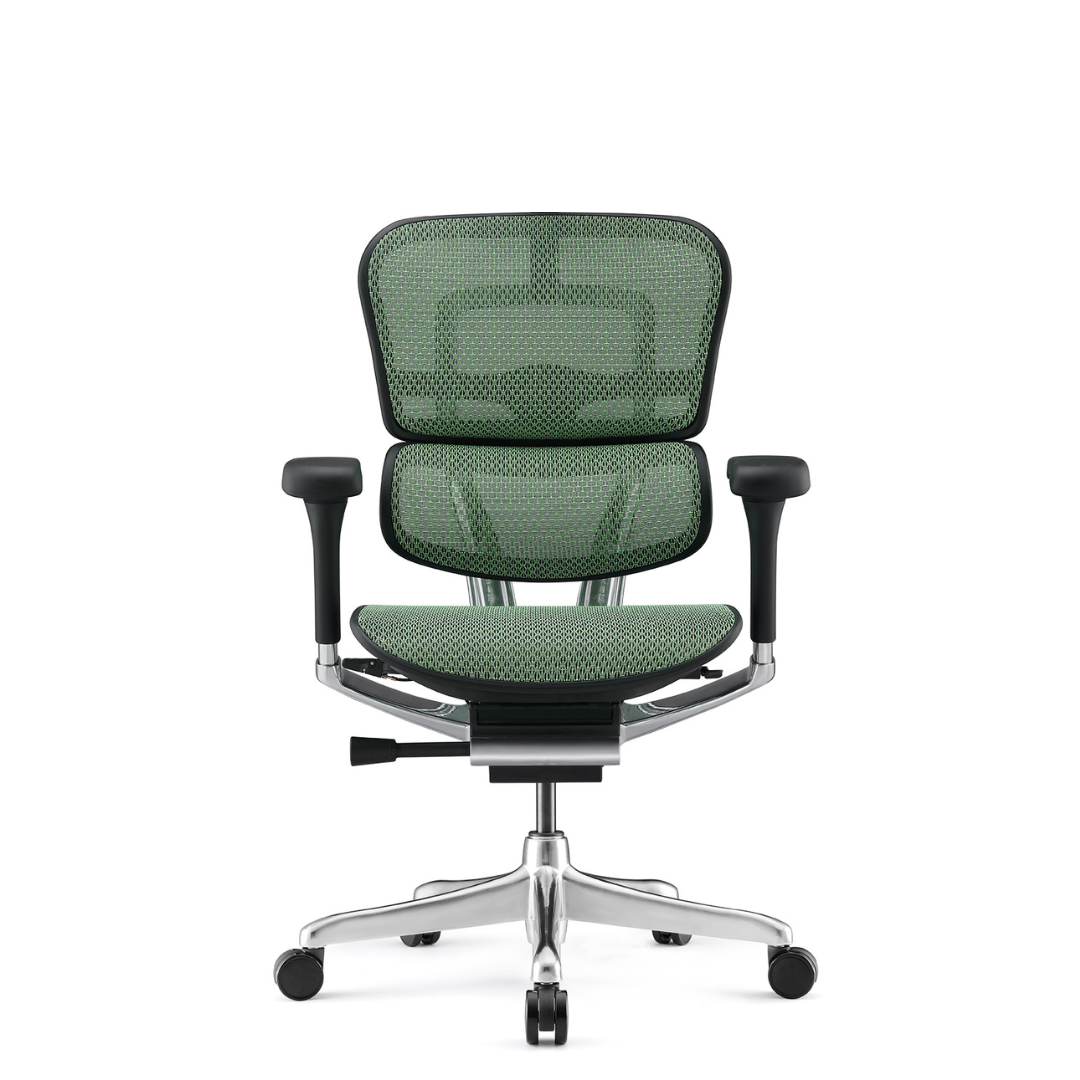 Ergohuman - Mesh Ergonomic Office Chair