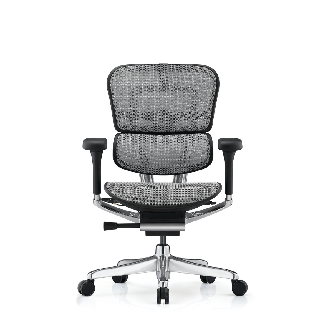 Ergohuman - Mesh Ergonomic Office Chair
