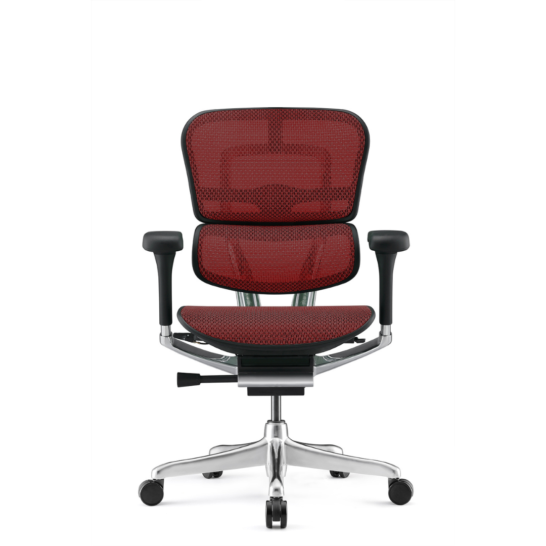 Ergohuman - Mesh Ergonomic Office Chair