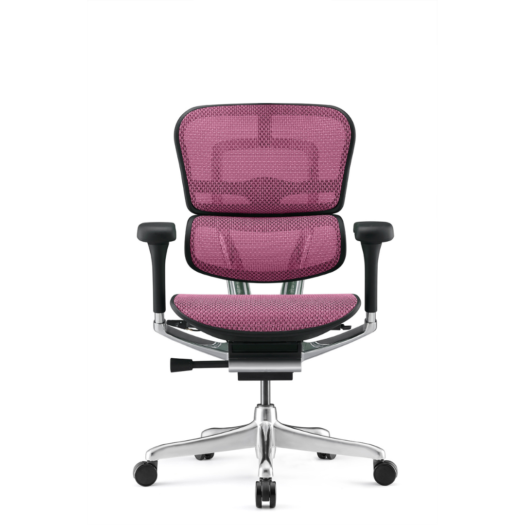 Ergohuman - Mesh Ergonomic Office Chair