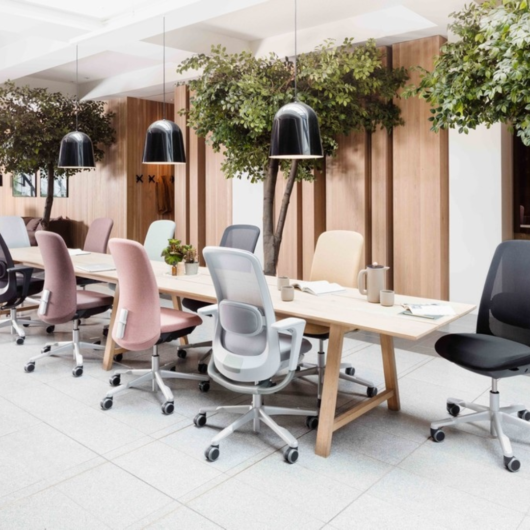 Healthy Home & Office - Modern office conference room with ergonomic chairs and plants.