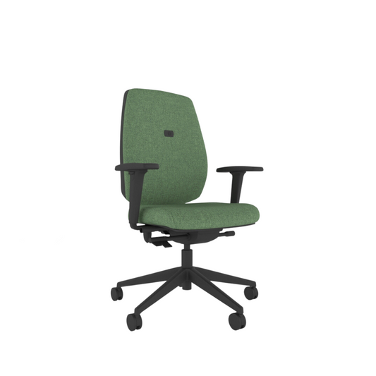 Youergo & Youergo Mesh Office Chair